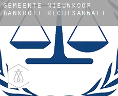 Gemeente Nieuwkoop  bankrott rechtsanwalt