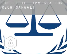 Institute  immigration rechtsanwalt