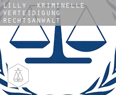 Lilly  kriminelle verteidigung rechtsanwalt