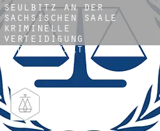Seulbitz an der Sächsischen Saale  kriminelle verteidigung rechtsanwalt