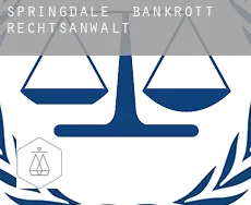 Springdale  bankrott rechtsanwalt