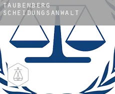 Taubenberg  Scheidungsanwalt