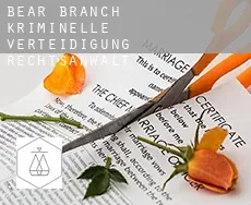 Bear Branch  kriminelle verteidigung rechtsanwalt