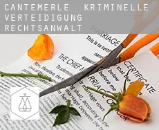 Cantemerle kriminelle verteidigung rechtsanwalt