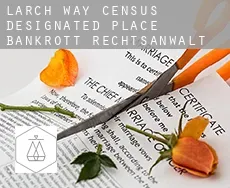 Larch Way bankrott rechtsanwalt