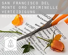 San Francisco del Monte de Oro  kriminelle verteidigung rechtsanwalt