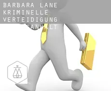 Barbara Lane  kriminelle verteidigung rechtsanwalt