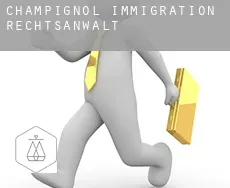 Champignol  immigration rechtsanwalt