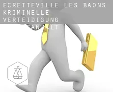 Écretteville-lès-Baons  kriminelle verteidigung rechtsanwalt