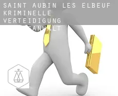 Saint-Aubin-lès-Elbeuf  kriminelle verteidigung rechtsanwalt