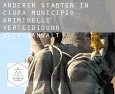 Anderen Städten in Cidra Municipio  kriminelle verteidigung rechtsanwalt