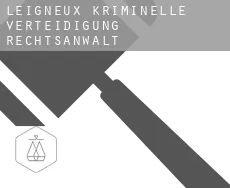 Leigneux  kriminelle verteidigung rechtsanwalt