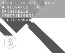 Middle Frisco  kriminelle verteidigung rechtsanwalt