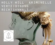 Holly Hill  kriminelle verteidigung rechtsanwalt