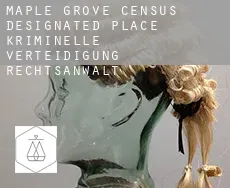 Maple Grove  kriminelle verteidigung rechtsanwalt