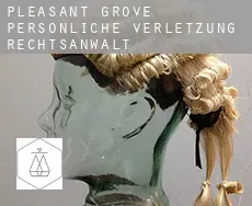 Pleasant Grove  persönliche verletzung rechtsanwalt