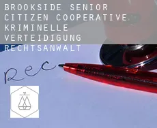 Brookside Senior Citizen Cooperative  kriminelle verteidigung rechtsanwalt