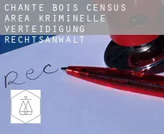 Chante-Bois (census area)  kriminelle verteidigung rechtsanwalt