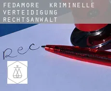 Fedamore  kriminelle verteidigung rechtsanwalt