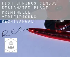 Fish Springs  kriminelle verteidigung rechtsanwalt