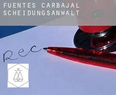 Fuentes de Carbajal  Scheidungsanwalt