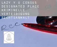 Lazy Y U  kriminelle verteidigung rechtsanwalt