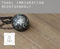 Tahal  immigration rechtsanwalt