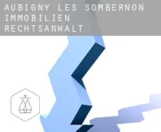 Aubigny-lès-Sombernon  immobilien rechtsanwalt