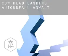 Cow Head Landing  Autounfall Anwalt