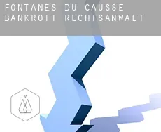 Fontanes-du-Causse bankrott rechtsanwalt