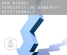 San Miguel Tenochtitlán  bankrott rechtsanwalt