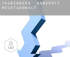 Taubenberg  bankrott rechtsanwalt