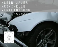 Klein Jauer  kriminelle verteidigung rechtsanwalt
