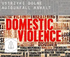 Ustrzyki Dolne  Autounfall Anwalt