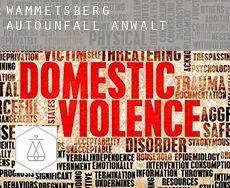 Wammetsberg  Autounfall Anwalt